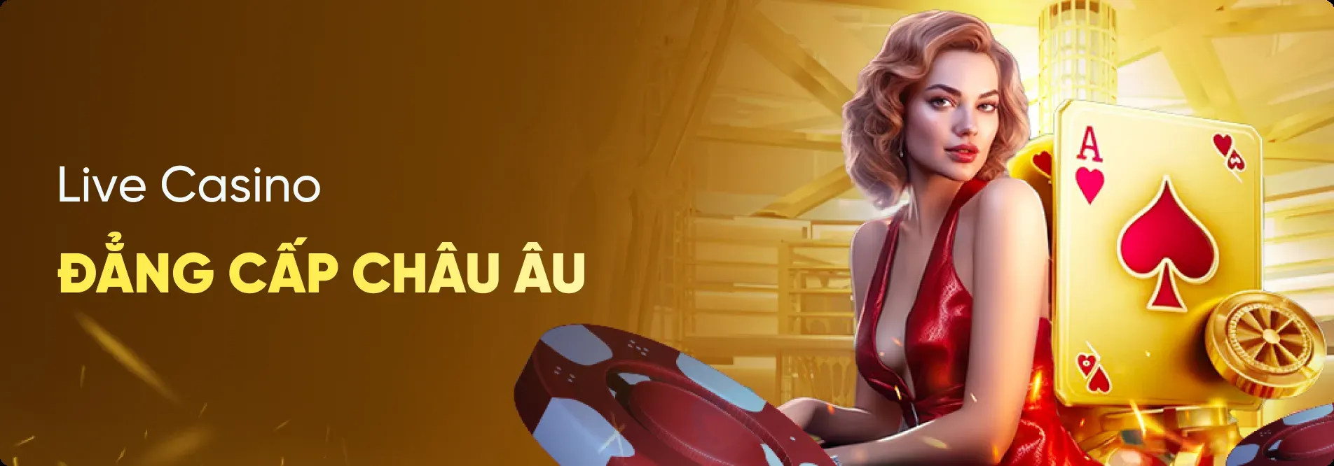 Quyền lợi và cam kết của người dùng